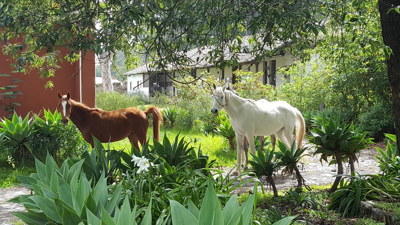 Hacienda Guachala Hotel Cayambe Ngoại thất bức ảnh