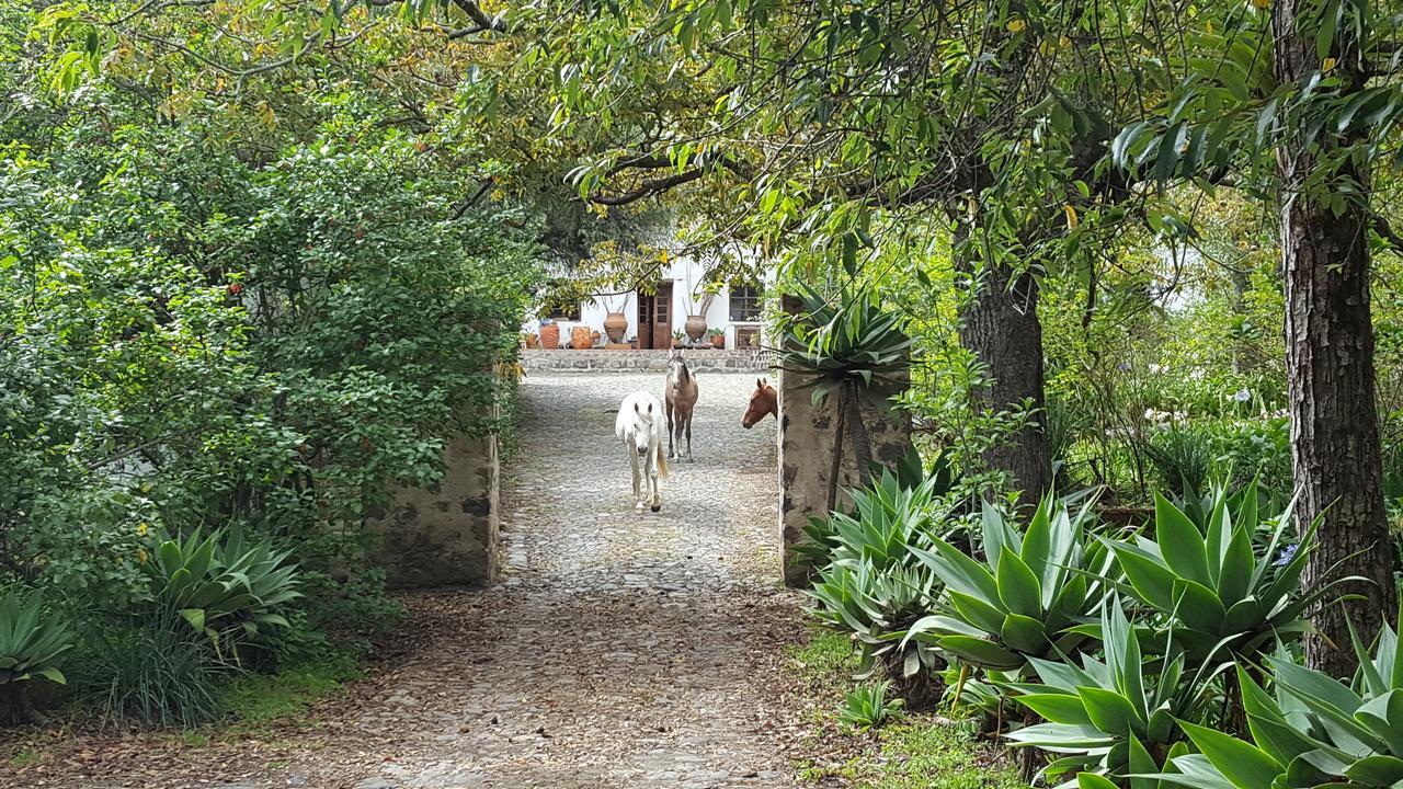 Hacienda Guachala Hotel Cayambe Ngoại thất bức ảnh